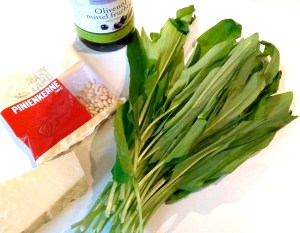 Bärlauchpesto vorbereitung
