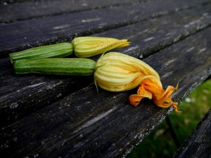 zucchini-395083_640