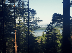 Killarney National Park